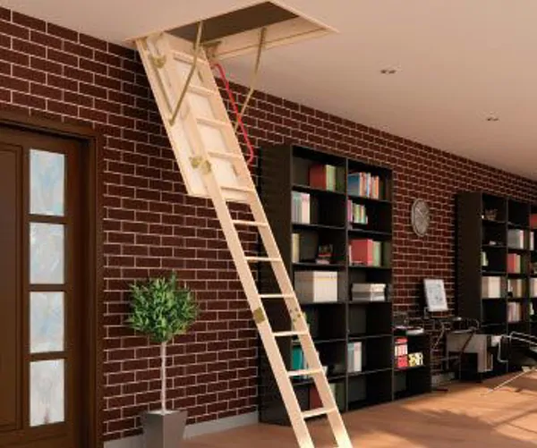 Roof Access Ladder