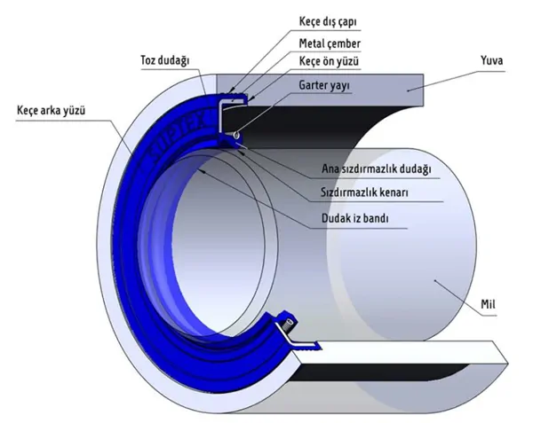 Oil Seals