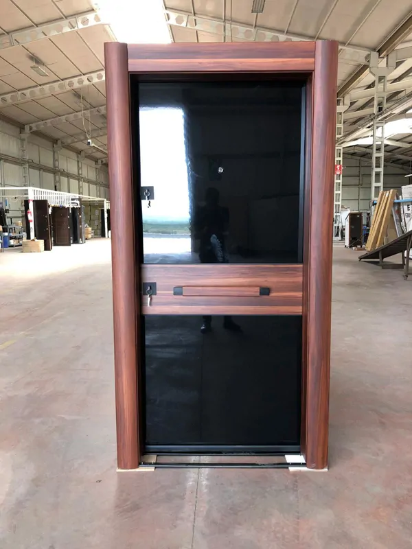 steel apartment entrance door
