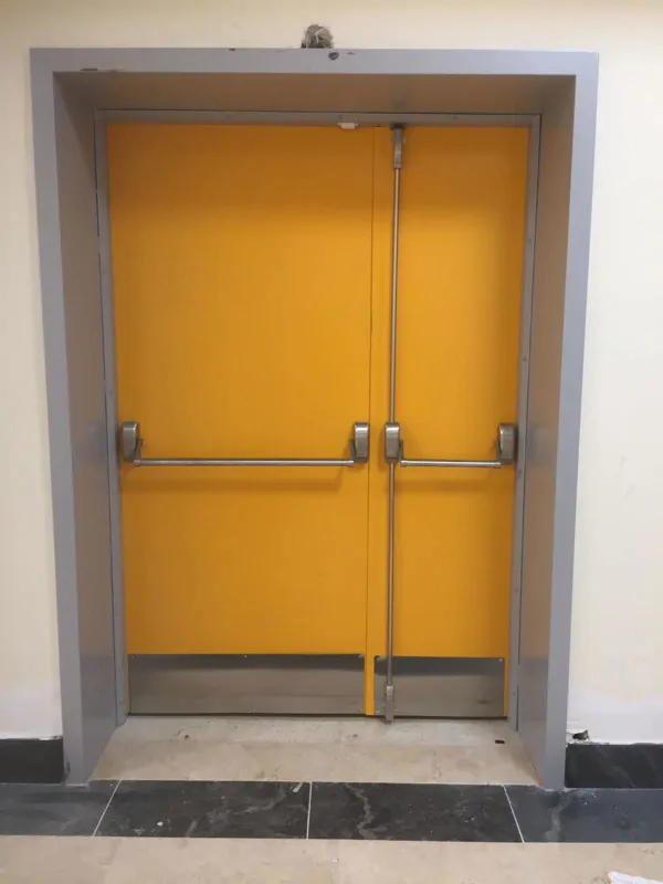 Double-leaf fire door