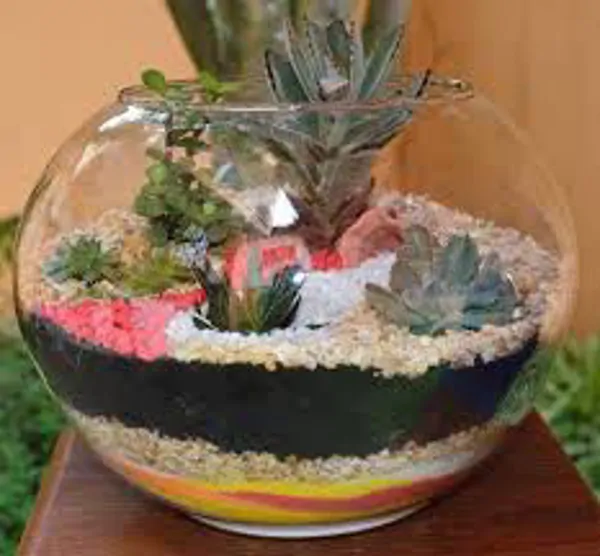 terrarium