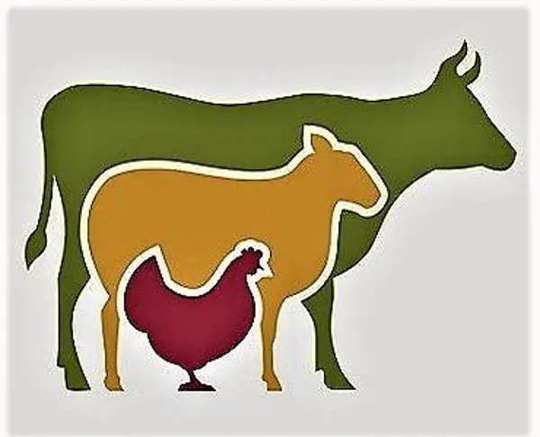 Animal Health